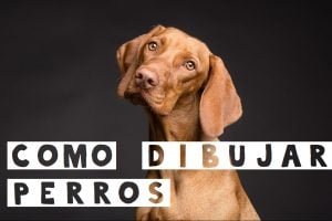 como dibujar un perro
