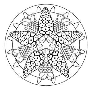 mandala para pintar