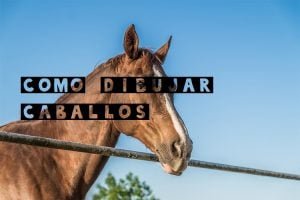 aprende a dibujar caballos