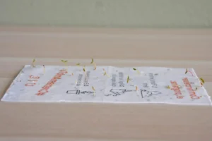Papel con semillas: Guía paso a paso para hacerlo en casa