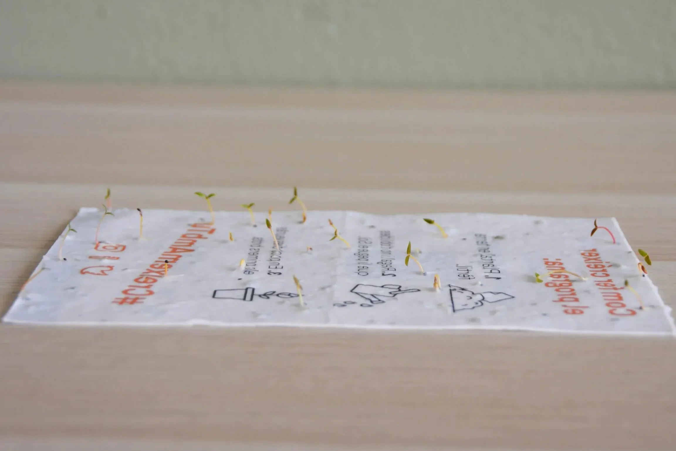En este momento estás viendo Papel con semillas: Guía paso a paso para hacerlo en casa