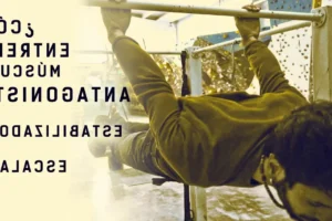 Escalar imágenes con un compás de reducción: guía práctica