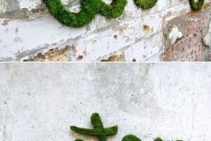 Graffitis vivos: Aprende cómo hacer arte con musgo en tus paredes