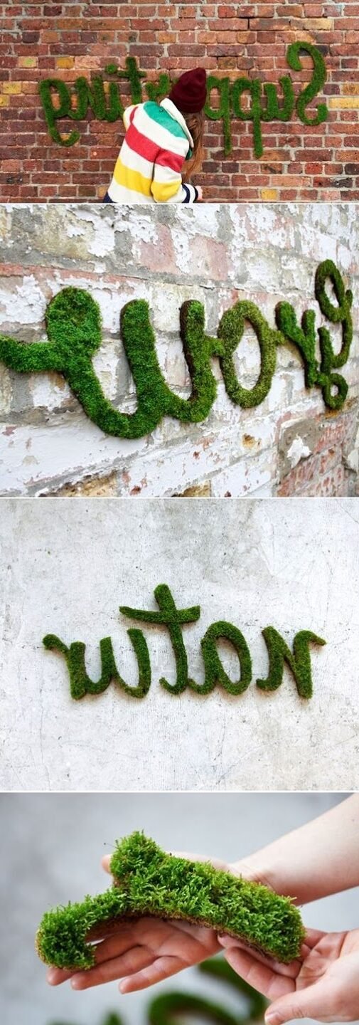 En este momento estás viendo Graffitis vivos: Aprende cómo hacer arte con musgo en tus paredes