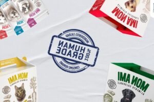 Protege tus documentos: Previene el amarilleo con spray deacidificante